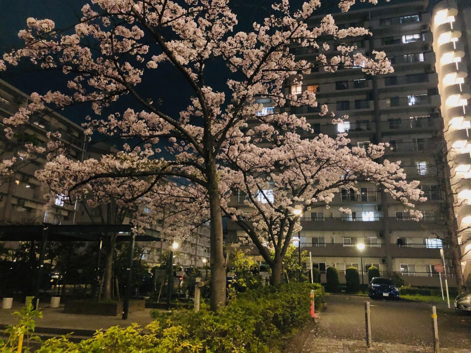 Jl 東京 House - 駐車場付き築浅のまるごと貸切住宅 東京都 エクステリア 写真